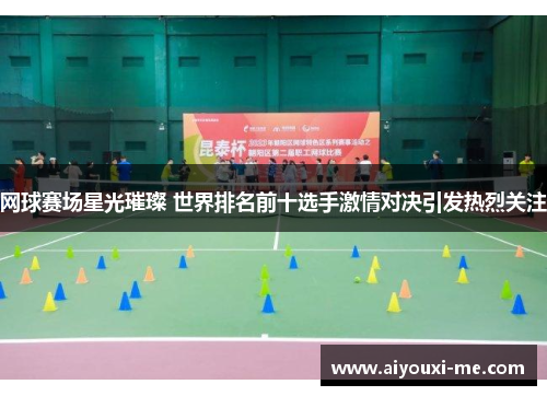 网球赛场星光璀璨 世界排名前十选手激情对决引发热烈关注