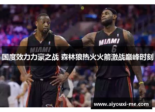国度效力力豪之战 森林狼热火火箭激战巅峰时刻