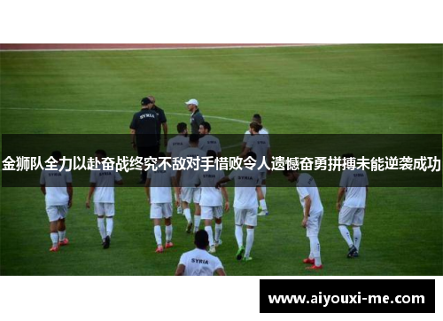 金狮队全力以赴奋战终究不敌对手惜败令人遗憾奋勇拼搏未能逆袭成功