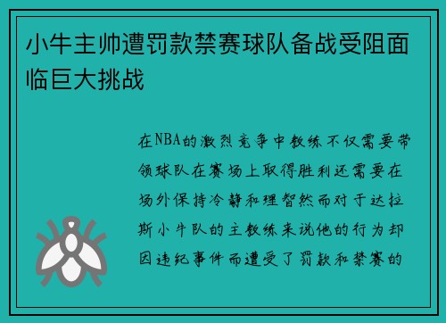 小牛主帅遭罚款禁赛球队备战受阻面临巨大挑战